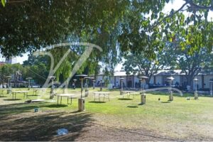 Calentador ambiental