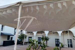Carpa con cielo de olas Carpa con cielo de olas