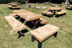 Mesa picnic Mesa picnic