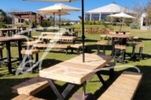 Mesa picnic Mesa picnic