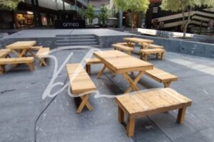 Mesa picnic Mesa picnic