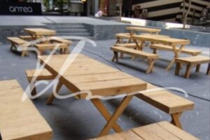 Mesa picnic Mesa picnic