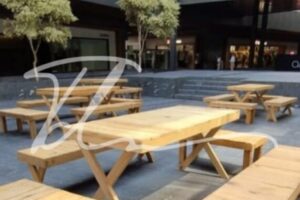 Mesa picnic Mesa picnic