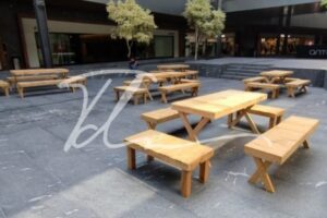 Mesa picnic Mesa picnic