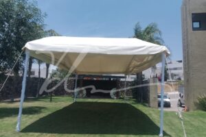 Carpa Carpa